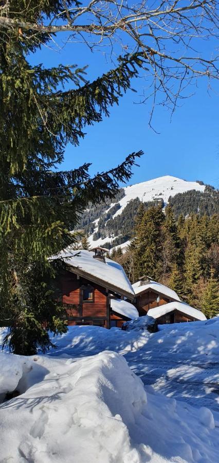 Le Chalet De Nabor Les Gets Esterno foto