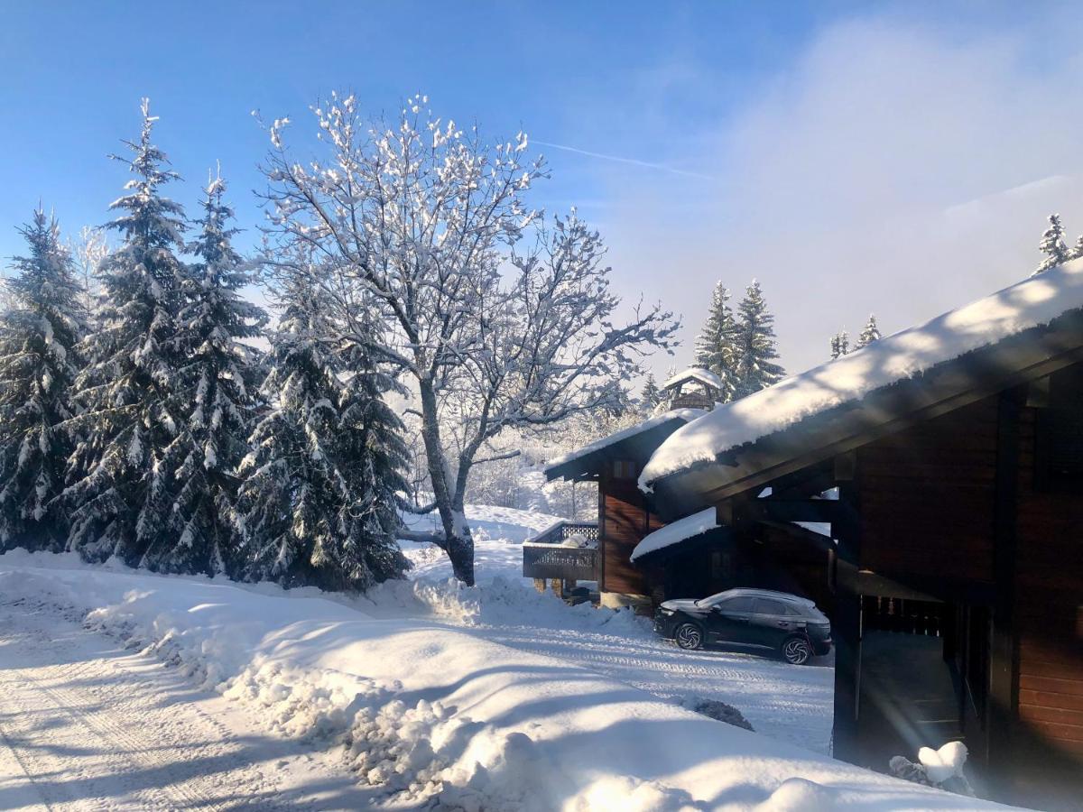 Le Chalet De Nabor Les Gets Esterno foto