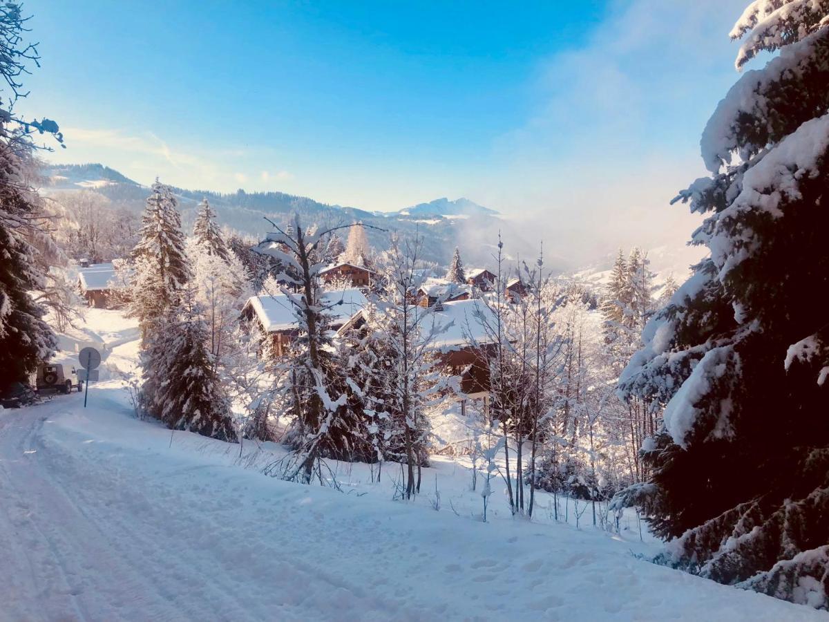 Le Chalet De Nabor Les Gets Esterno foto
