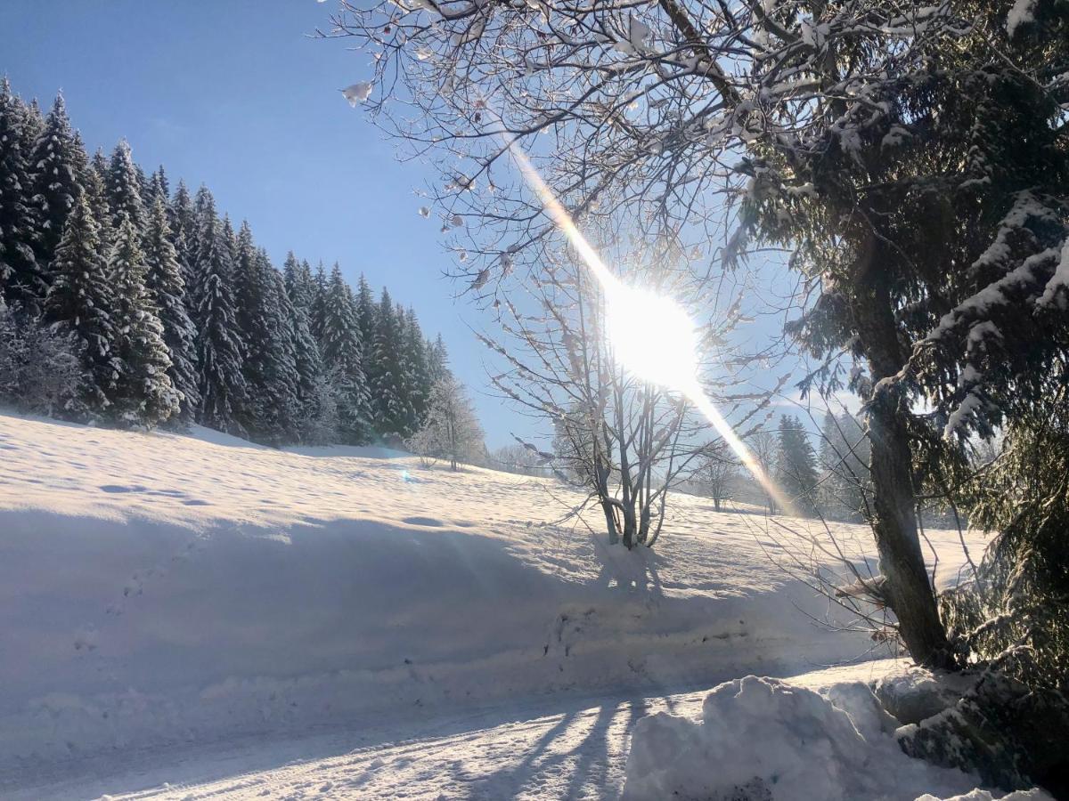 Le Chalet De Nabor Les Gets Esterno foto